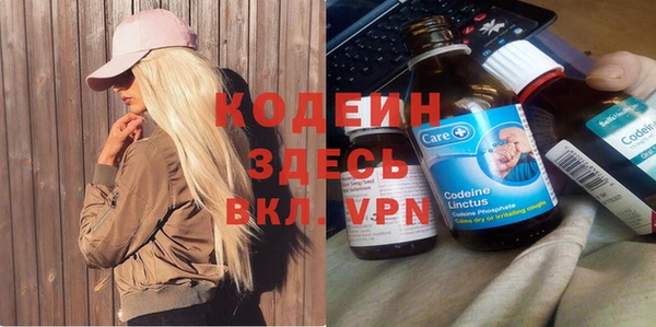 прущие грибы Алексеевка