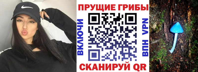Псилоцибиновые грибы мухоморы сайты даркнета формула Анива